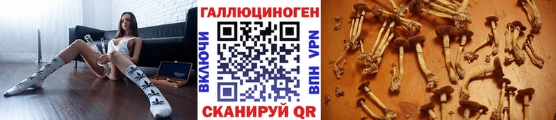 Галлюциногенные грибы мухоморы  что такое наркотик  Канаш 